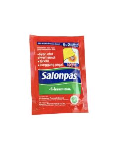 SALONPAS HOT (5 X 2 LEMBAR)
